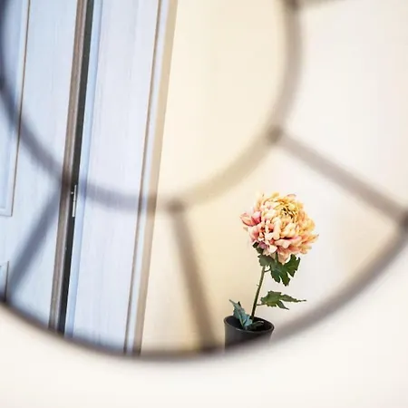 Appartement Zazi *