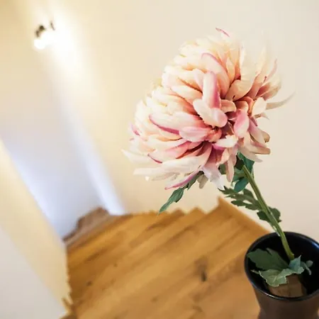 Appartement Zazi *